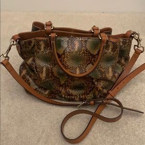 Dooney and Bourke Snakeskin Satchel Bag